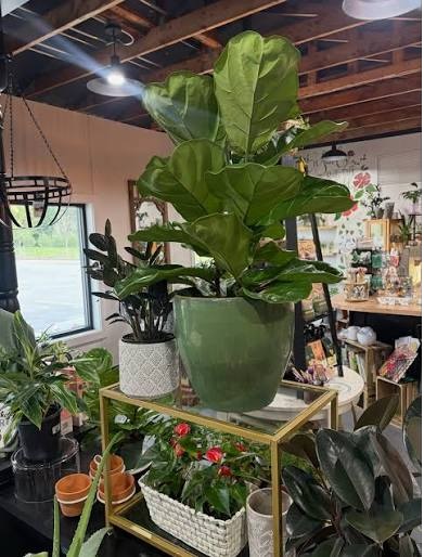 Pot And Planter Store